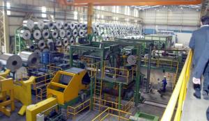 OINOFYTA-BIOMHXANIKH-ZWNH