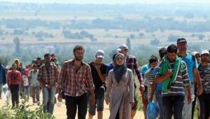 metanastes6-650x2501440681706