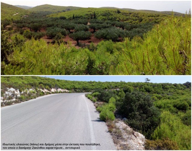 ΔΡΟΜΟΙ ΚΑΛΛΙΕΡΓΕΙΕΣ